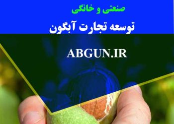فروش دستگاه گردو پوست کن ارزان قیمت کارخانه