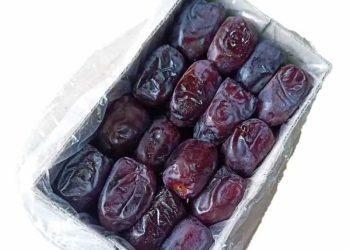 قیمت روز خرما مضافتی بم