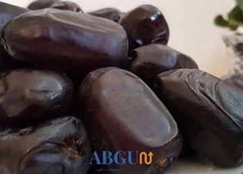 پخش عمده خرما مضافتی بم