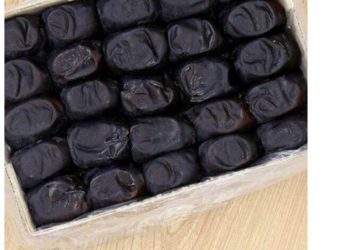 عمده فروشی خرما مضافتی بم